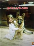 classified ad